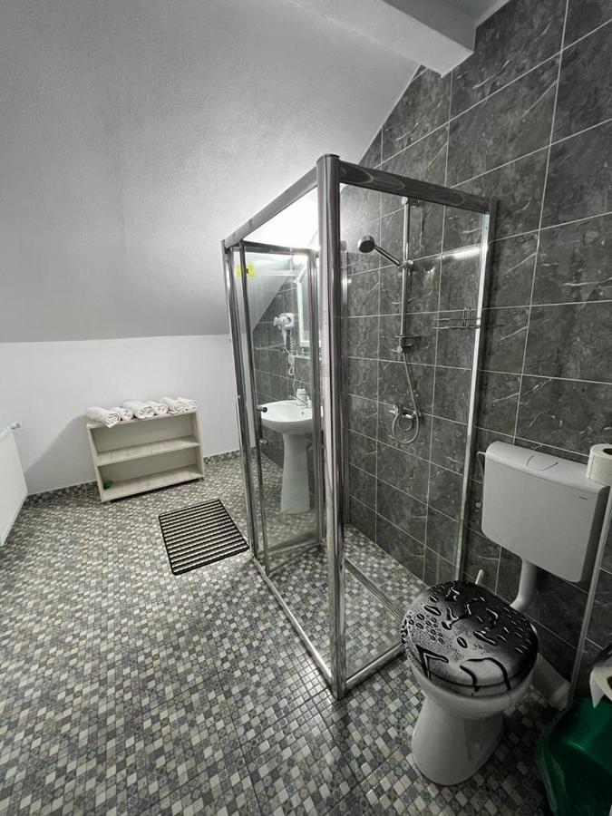 Pensiunea Broscuta ホレズ エクステリア 写真